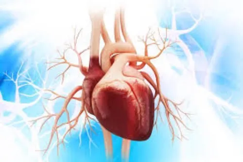 Cardiotensive : složení pouze přírodní složky.