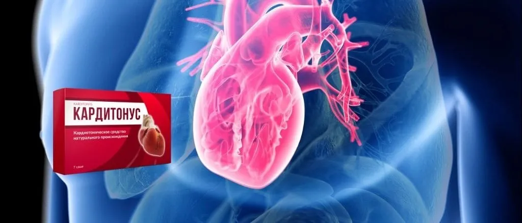 Cardiotensive : Kde koupit v České republice?